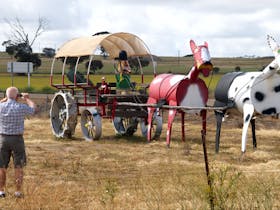 Tin Horse Highway