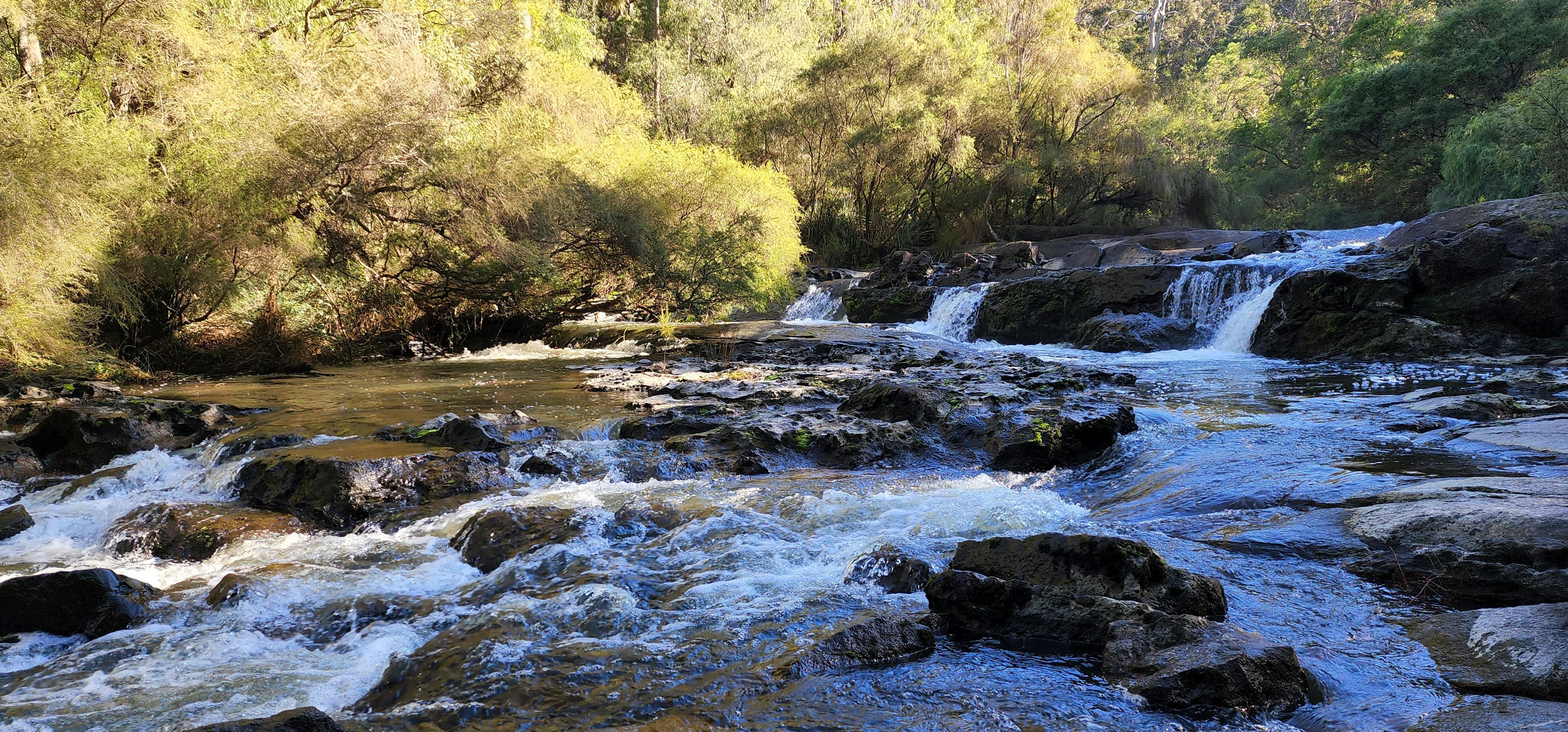 a river with water flowing through its rocks and trees in the background