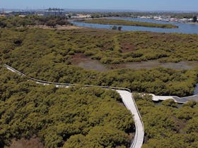 Mangrove Walk and Boardwalk