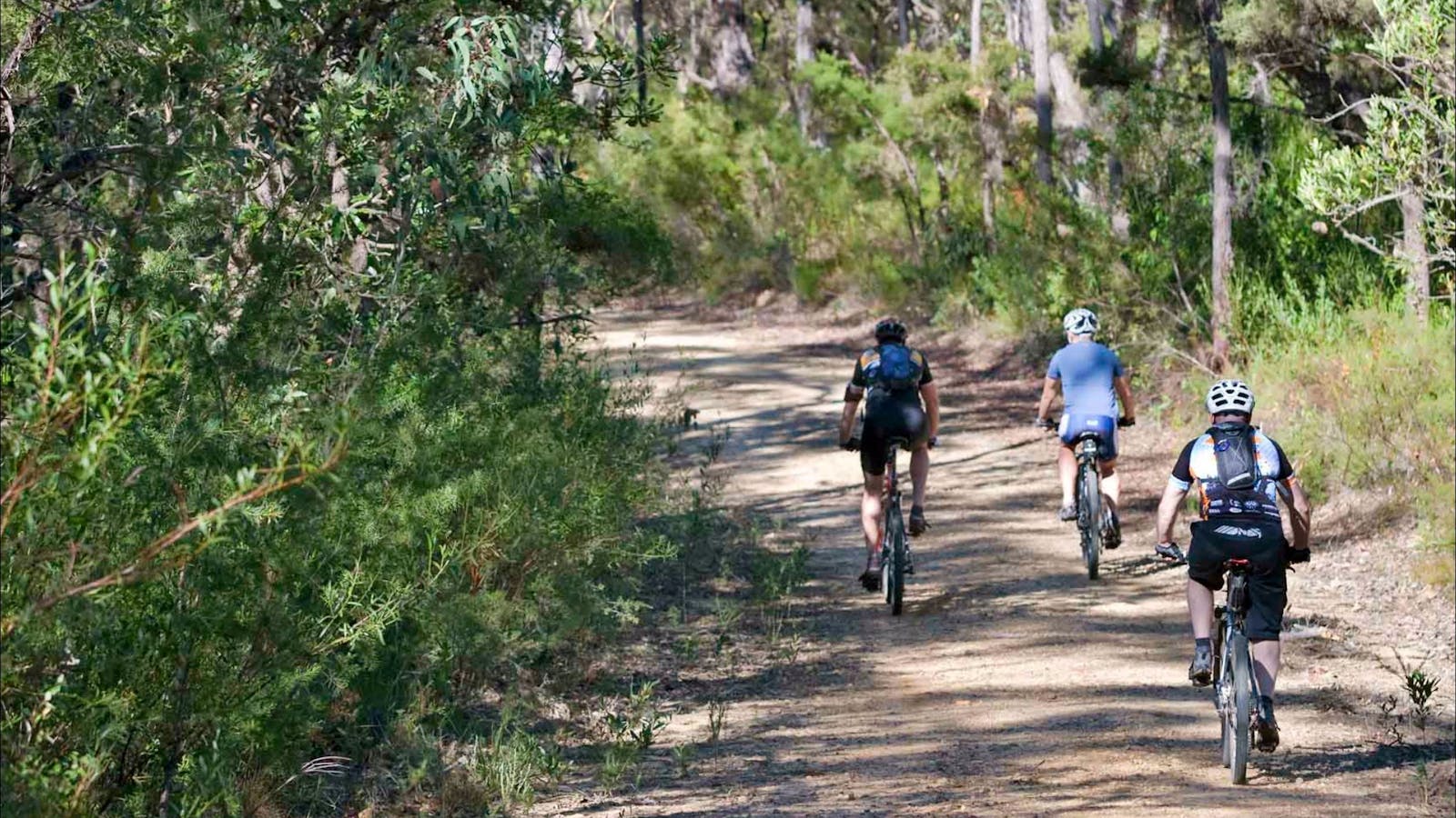 Andersons Fire Trail
