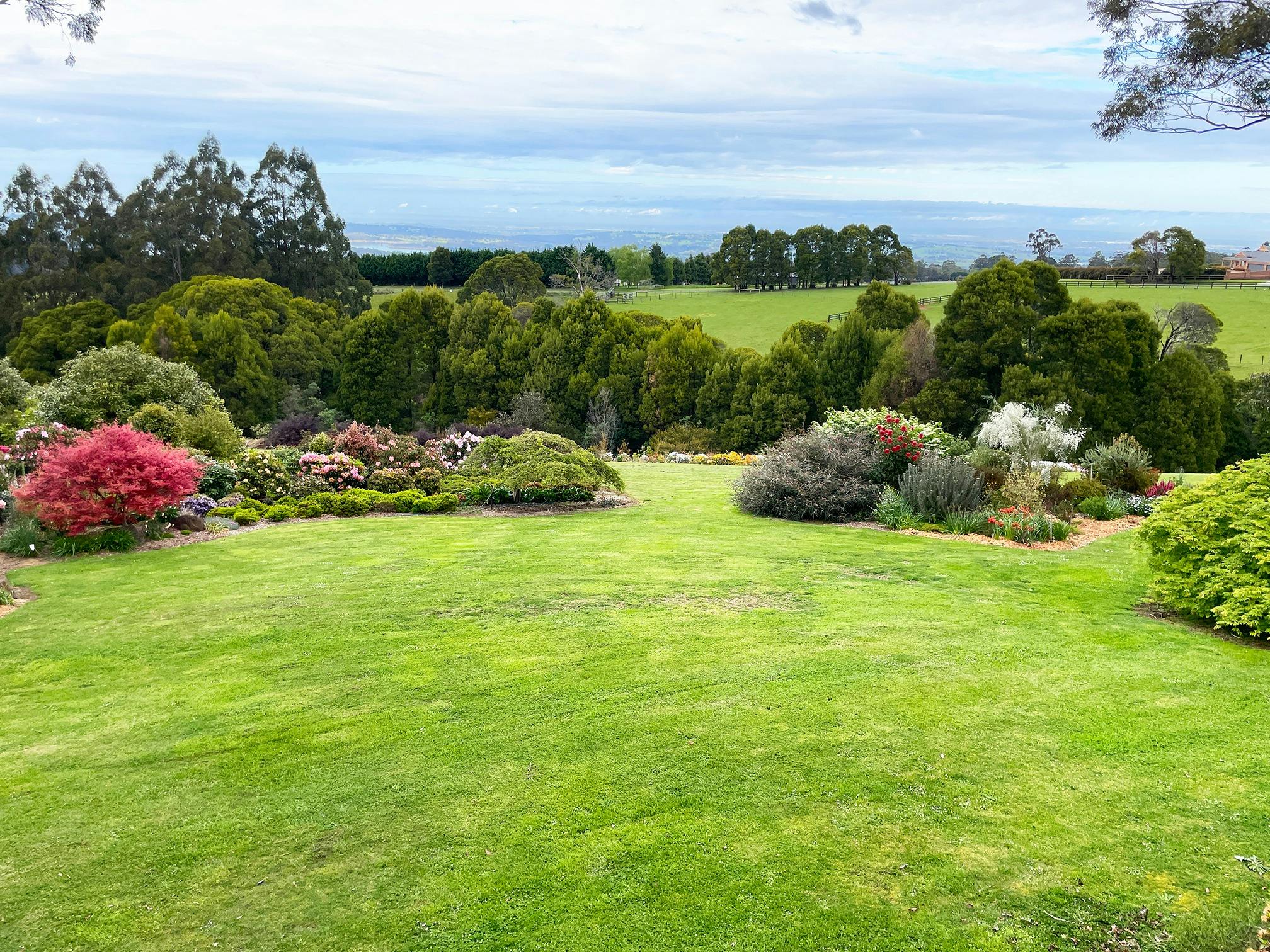 Open Gardens Victoria - Crome Garden, south view over green lawn