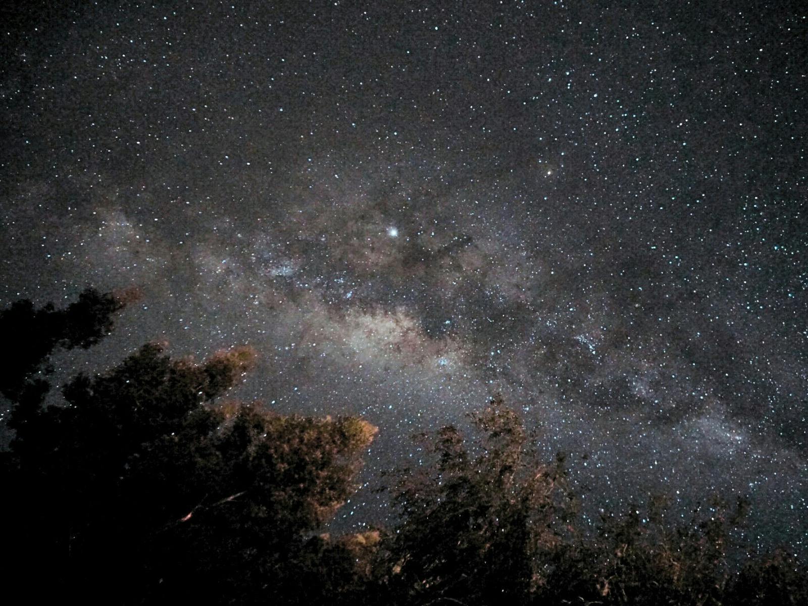 Clear view of the Milky Way Core captured under Tasmania’s night sky.