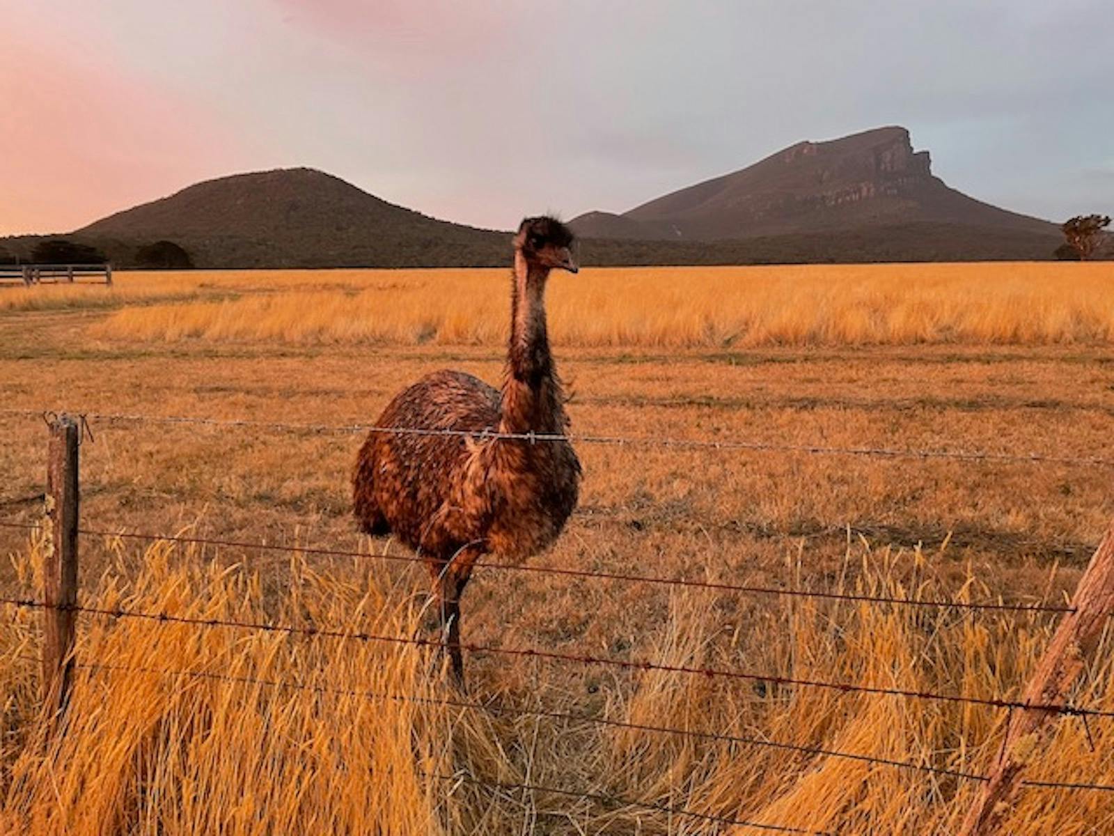 Grampians Easter  Yoga  Retreat