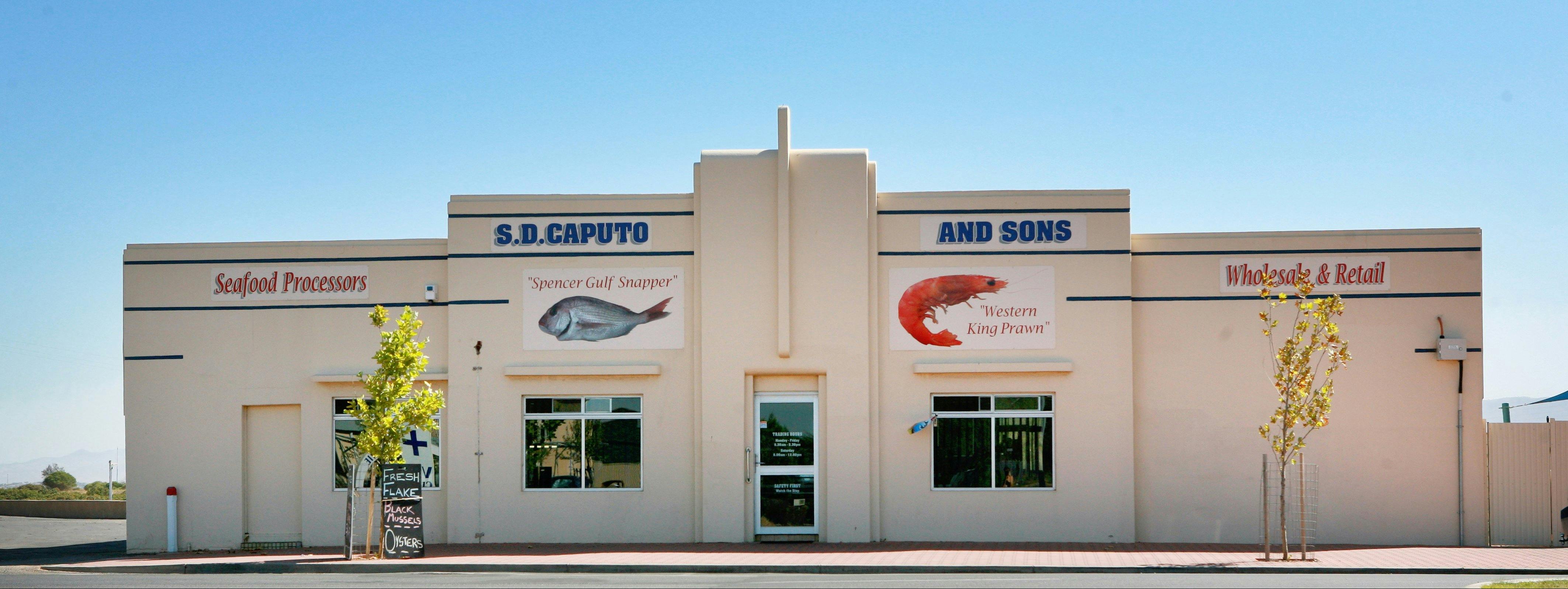 S.D. Caputo And Sons