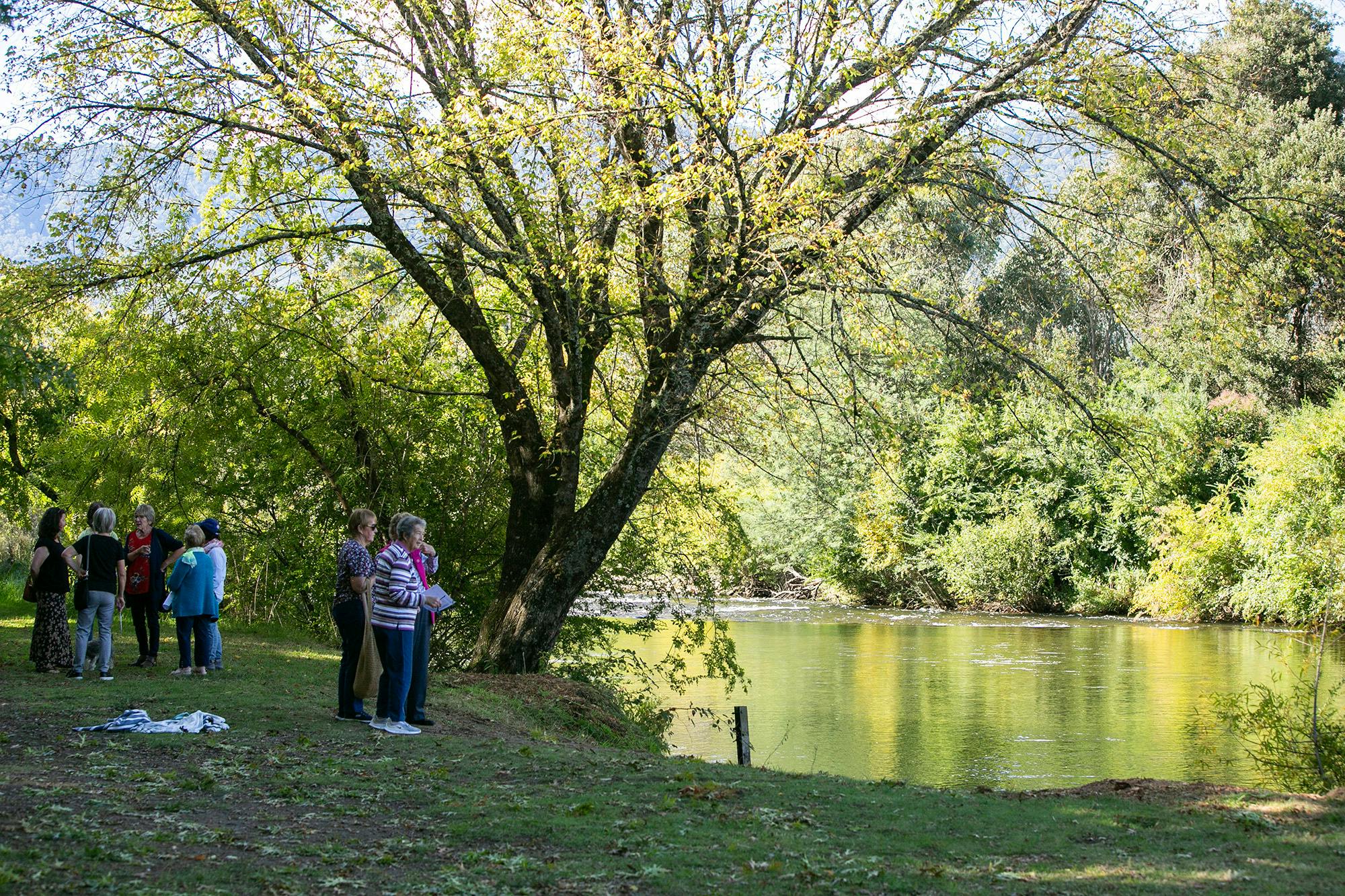 Tawonga Tourist Park Victoria High Country