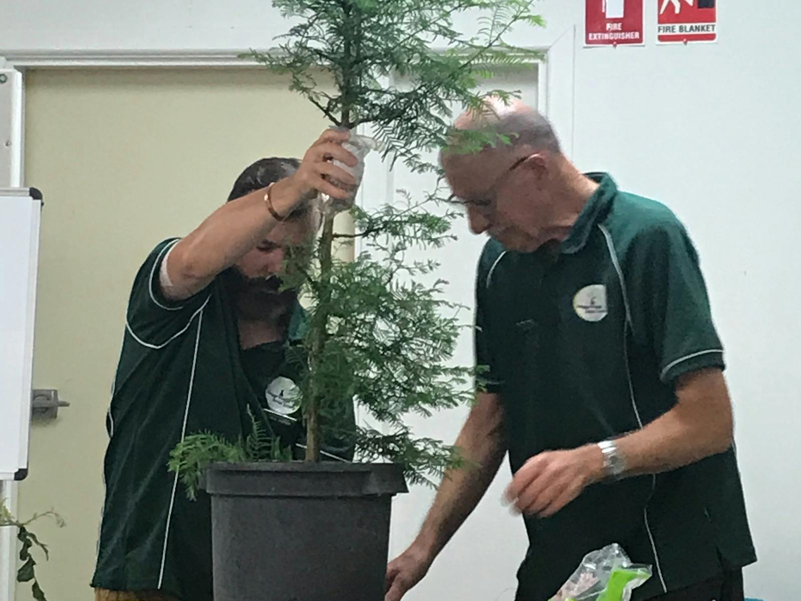 Image for Monthly Meeting for the Wagga Wagga Bonsai Society Inc.