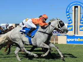 2026 Port Lincoln Cup Winner - Excelman