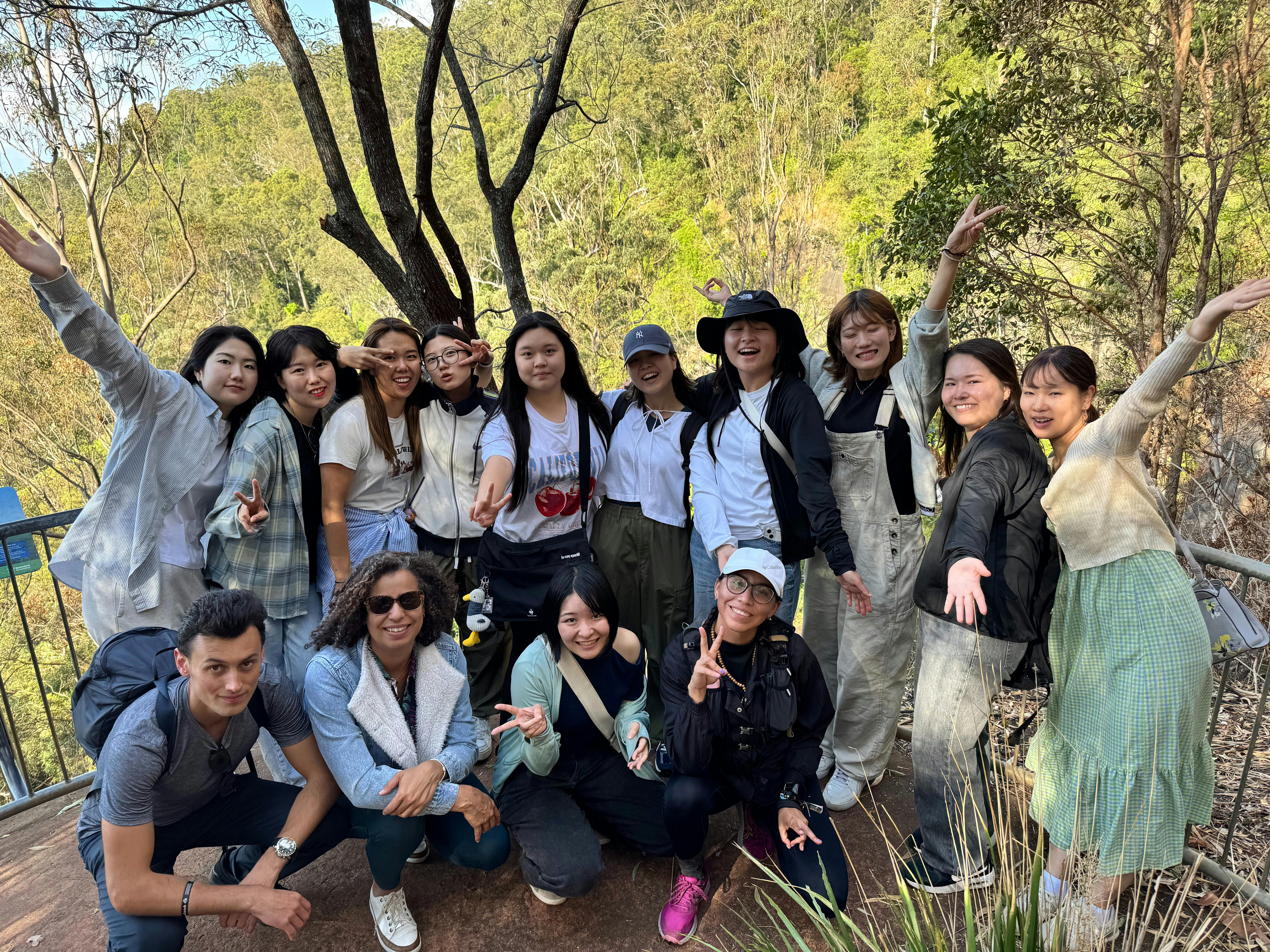 Lamington Day Tour: O’Reilly’s Tree Top Walk, Wildlife & Wine Tasting