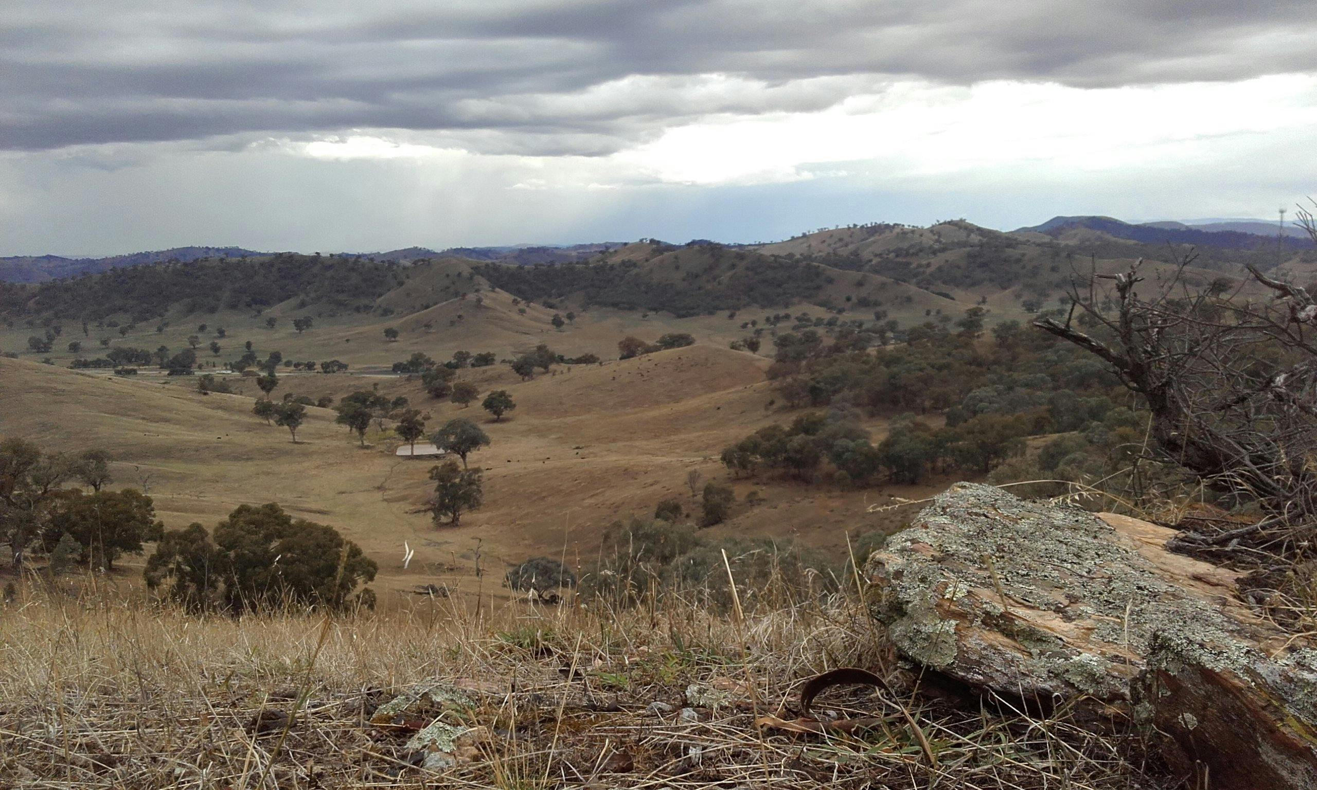 Gundagai Gold Trails | NSW Holidays & Accommodation, Things To Do ...