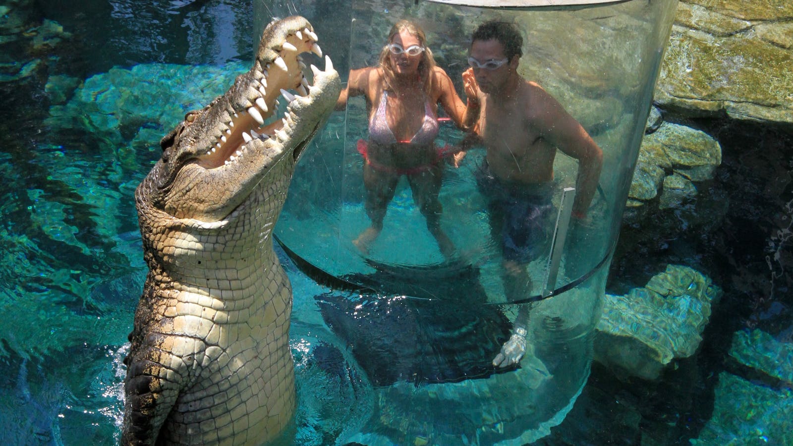 Crocosaurus Cove