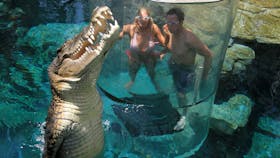 Crocosaurus Cove