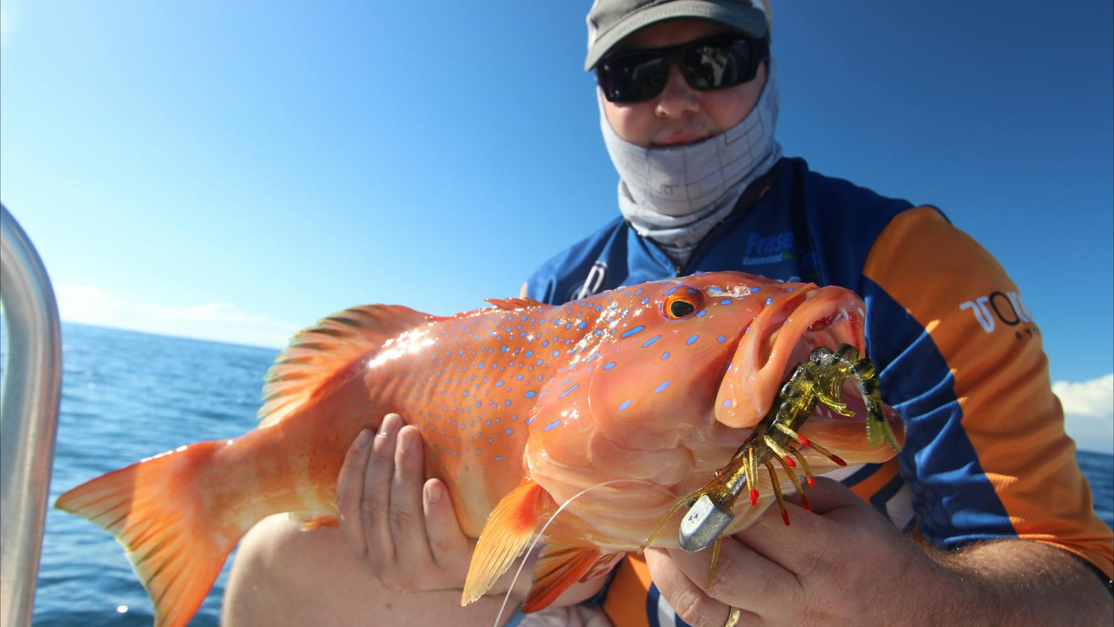 Coral Trout