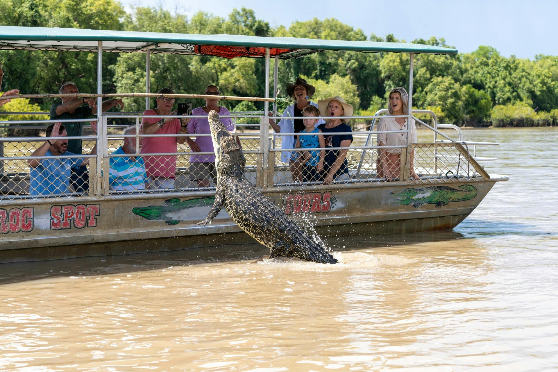 Adelaide River Wetlands Jumping Crocodile Cruise