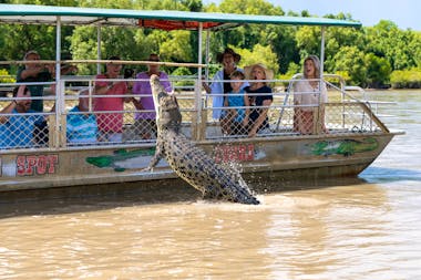 Adelaide River Wetlands Jumping Crocodile Cruise