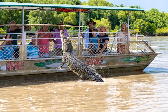 Adelaide River Wetlands Jumping Crocodile Cruise