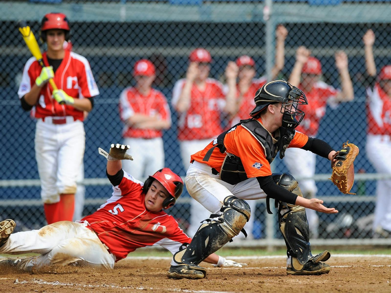 Image for Australian Senior League Baseball Championship