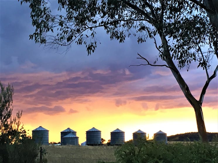 Sunset over the silos