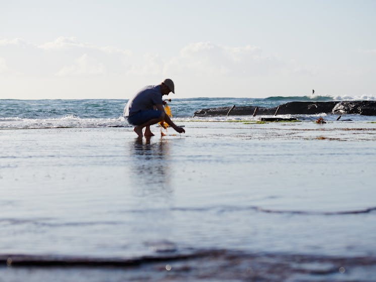 man crouching on a rock platform by the sea collecting seaweeds