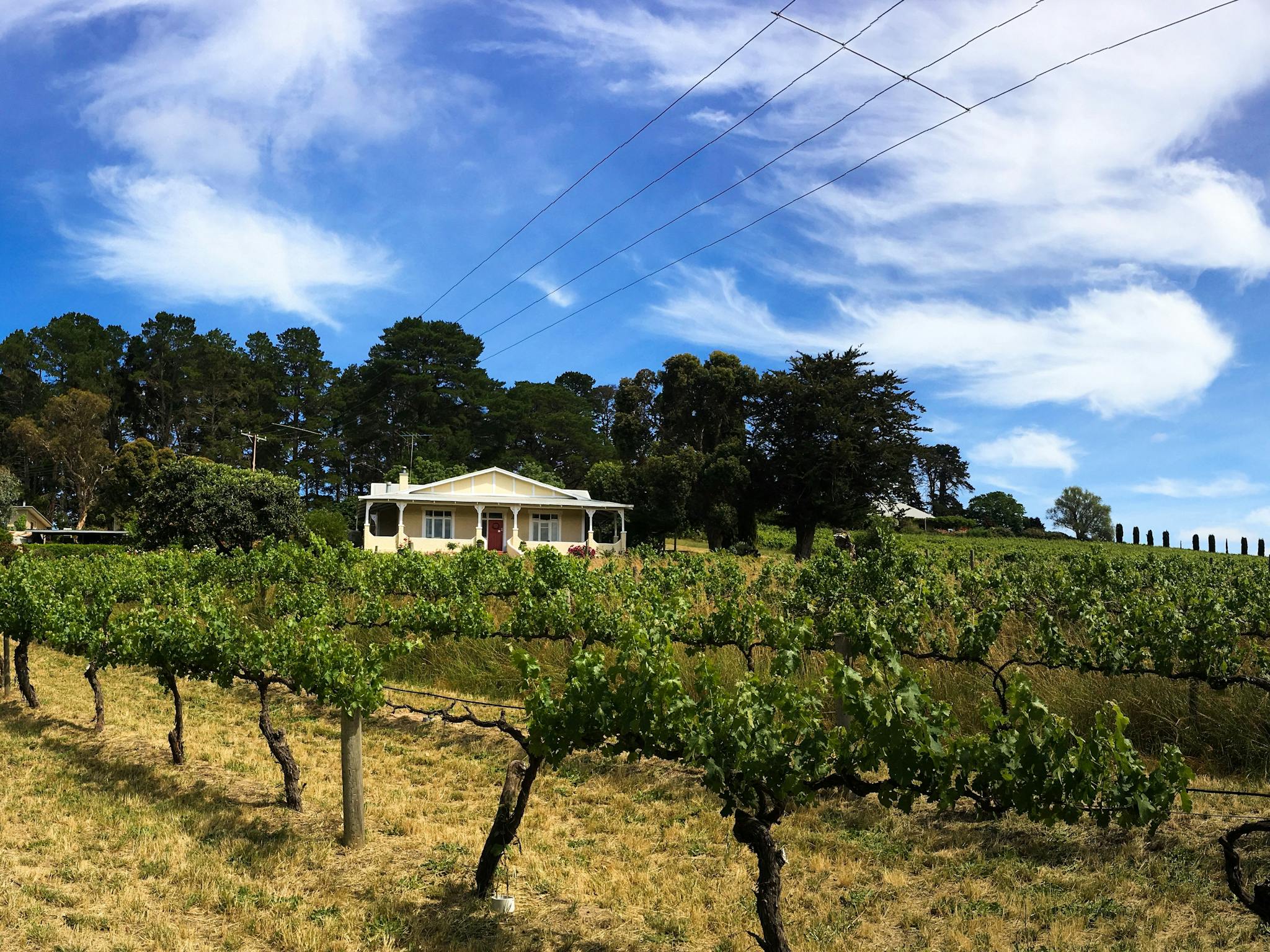 Karawatha Cottages  and vineyards