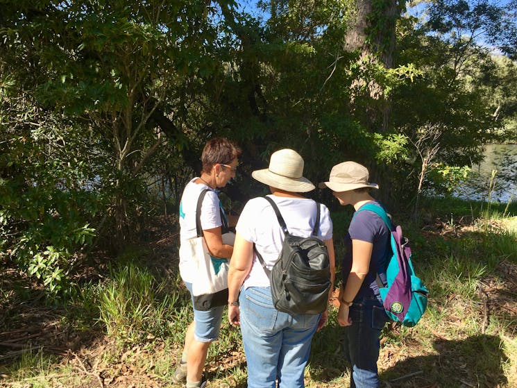 Guide showing visitors some of the local flora