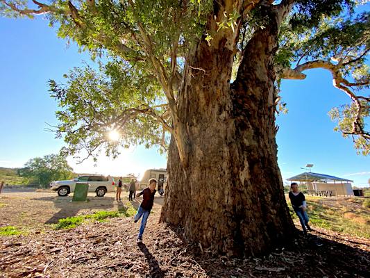 Orroroo Carrieton - Orroroo, Attraction | South Australia