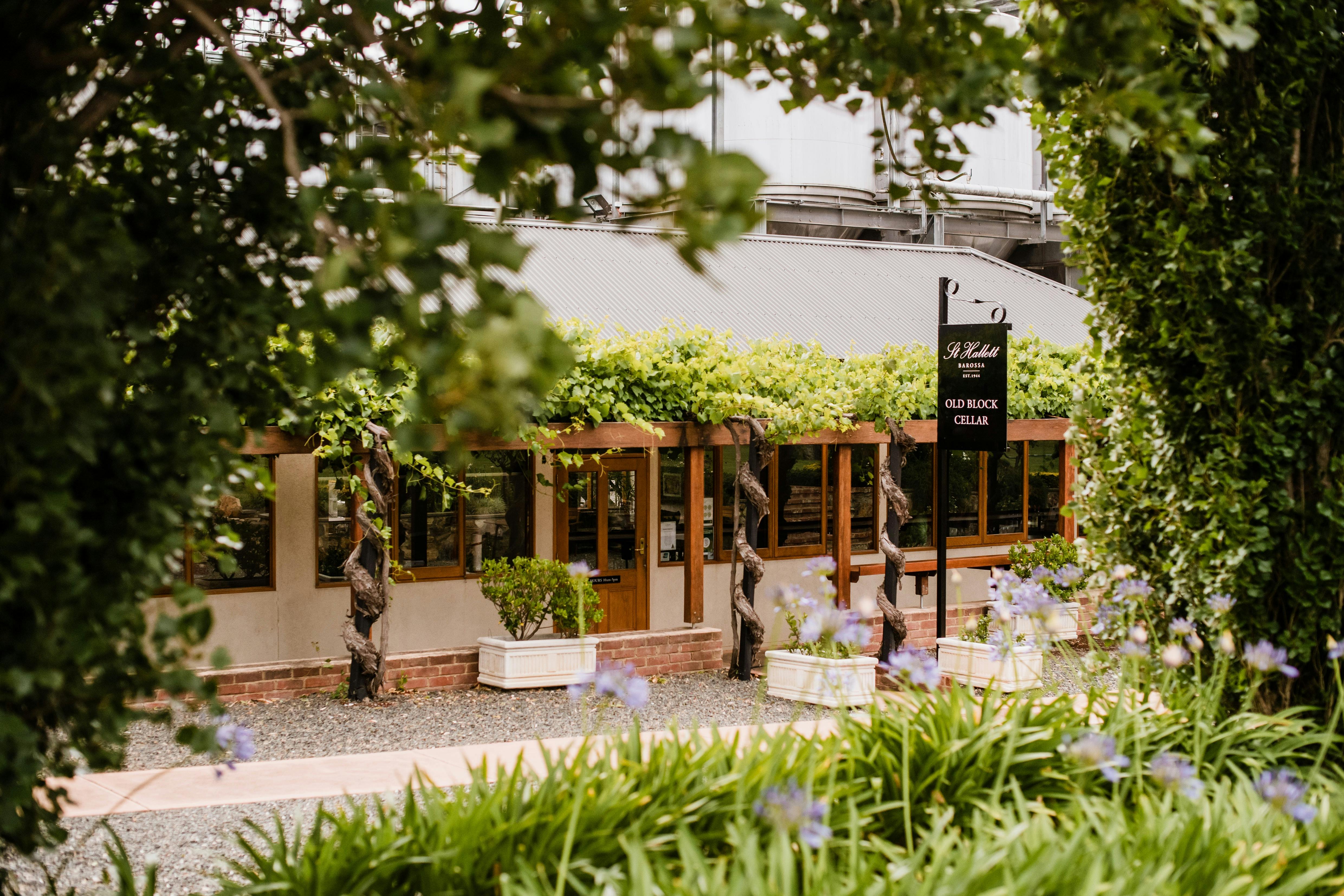 St Hallett Cellar Door