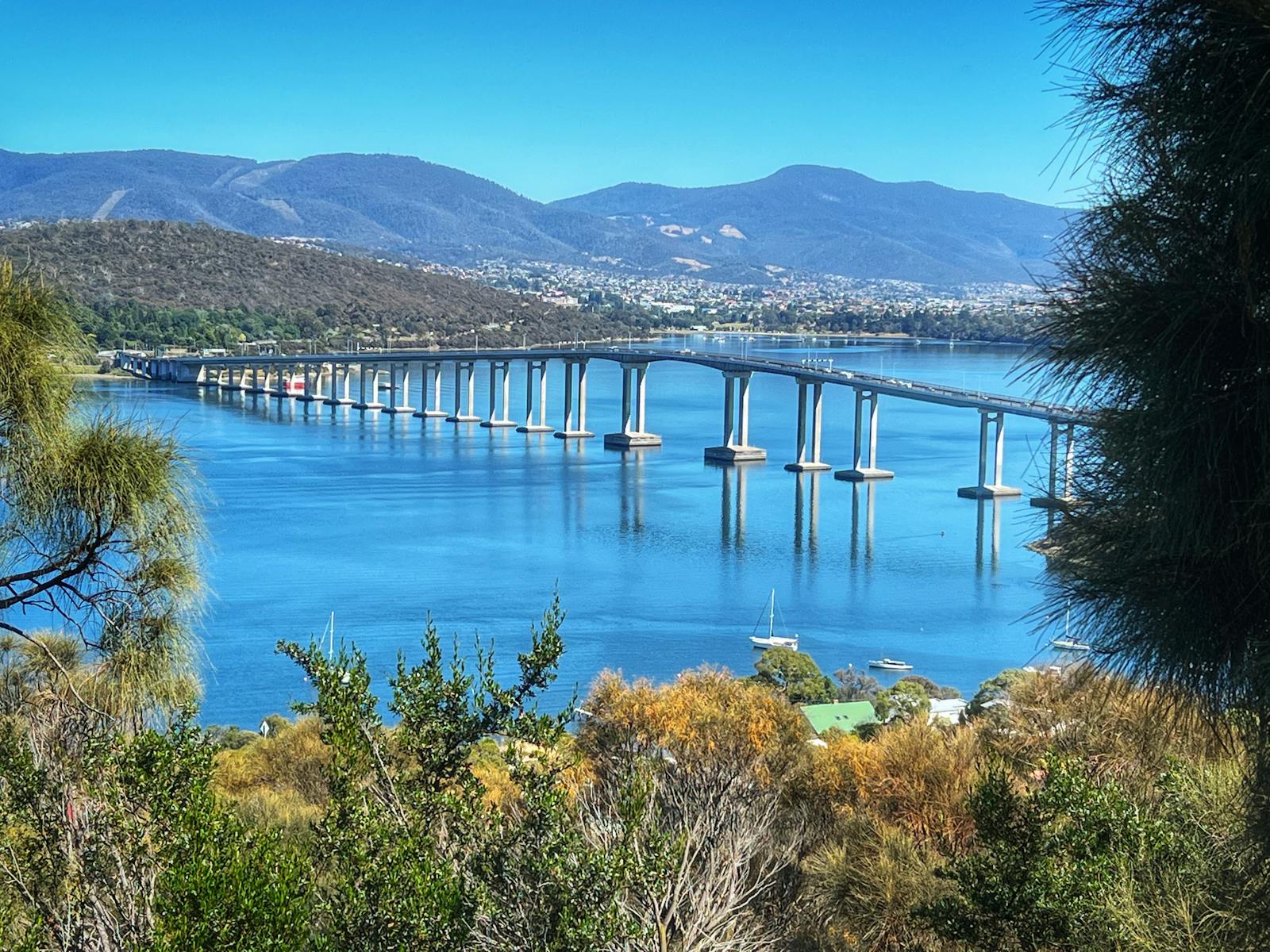 View of Tasman Bridge from Rosny Lookout