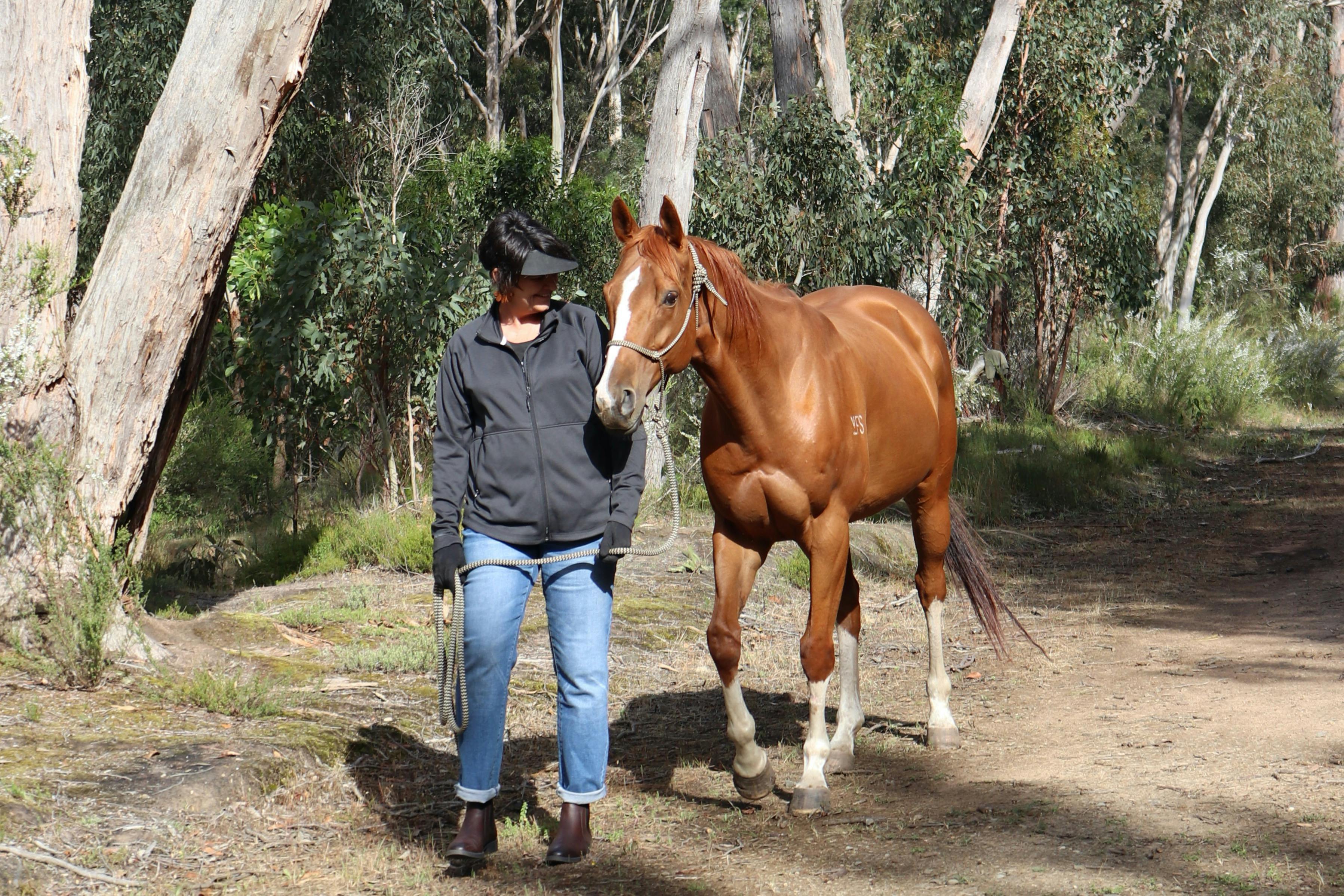 Feel a soulful connection with a sublime being in nature, no experience with horses required
