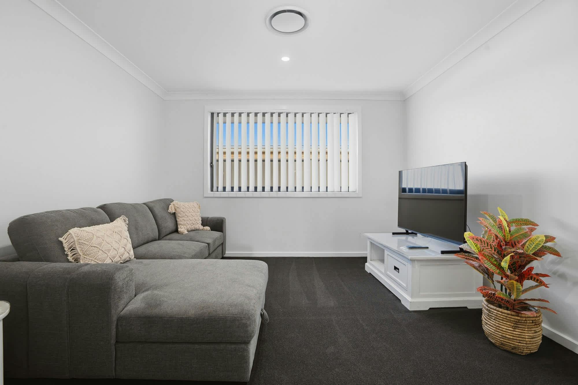 Couch, tv and tv unit with plant, carpet and large window