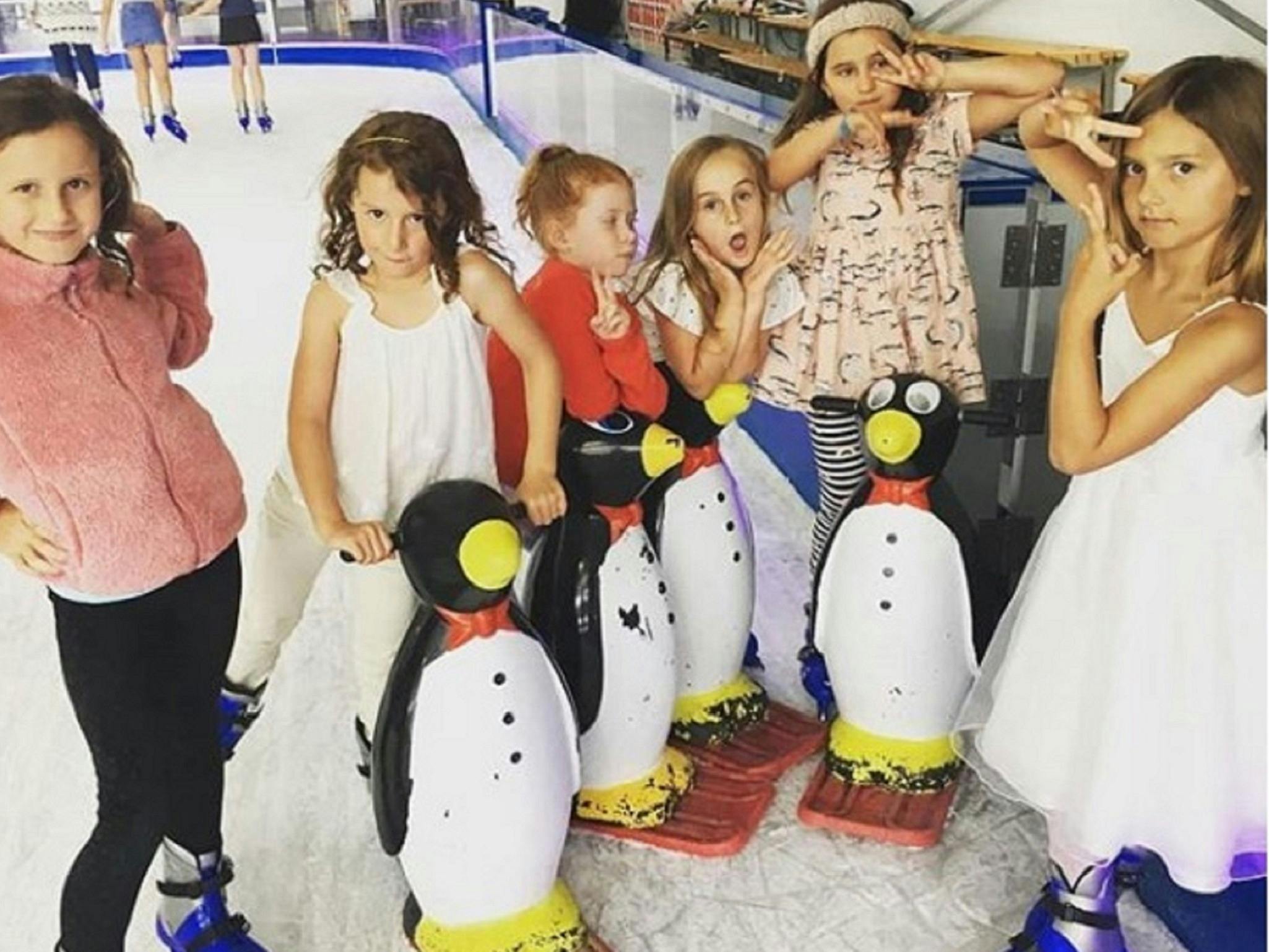 Ice Zoo