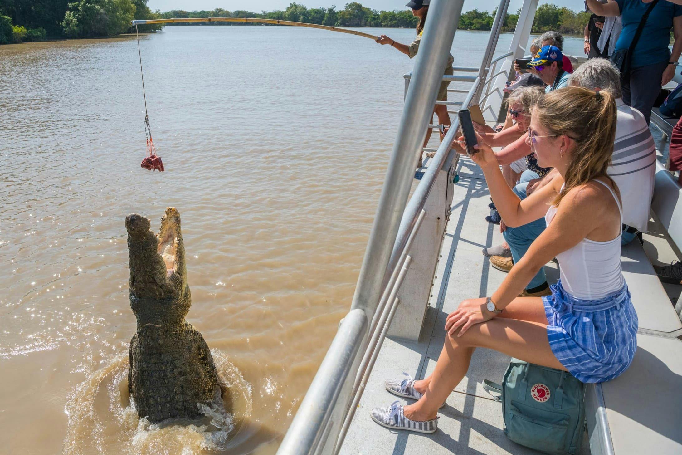 Half Day Jumping Crocodile Cruise on Adelaide River