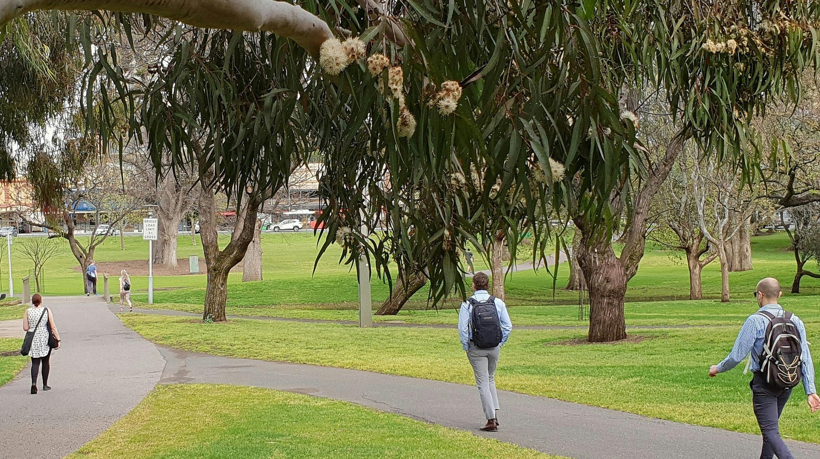 Guided Walk through Rundle Park / Kadlitpina (Park 13)