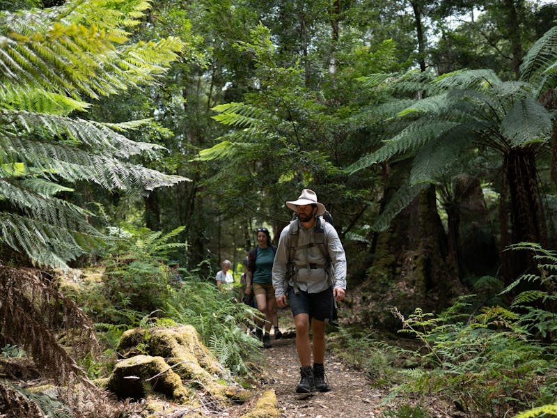 Tarkine Trails