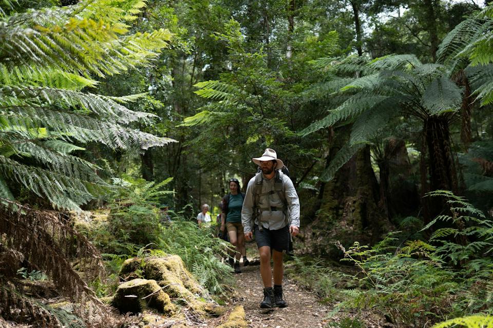 Tarkine Trails photo