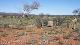 Winnecke Goldfield Cemetery