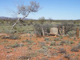 The remains of graves at the Winnecke Goldfields Cemetery.