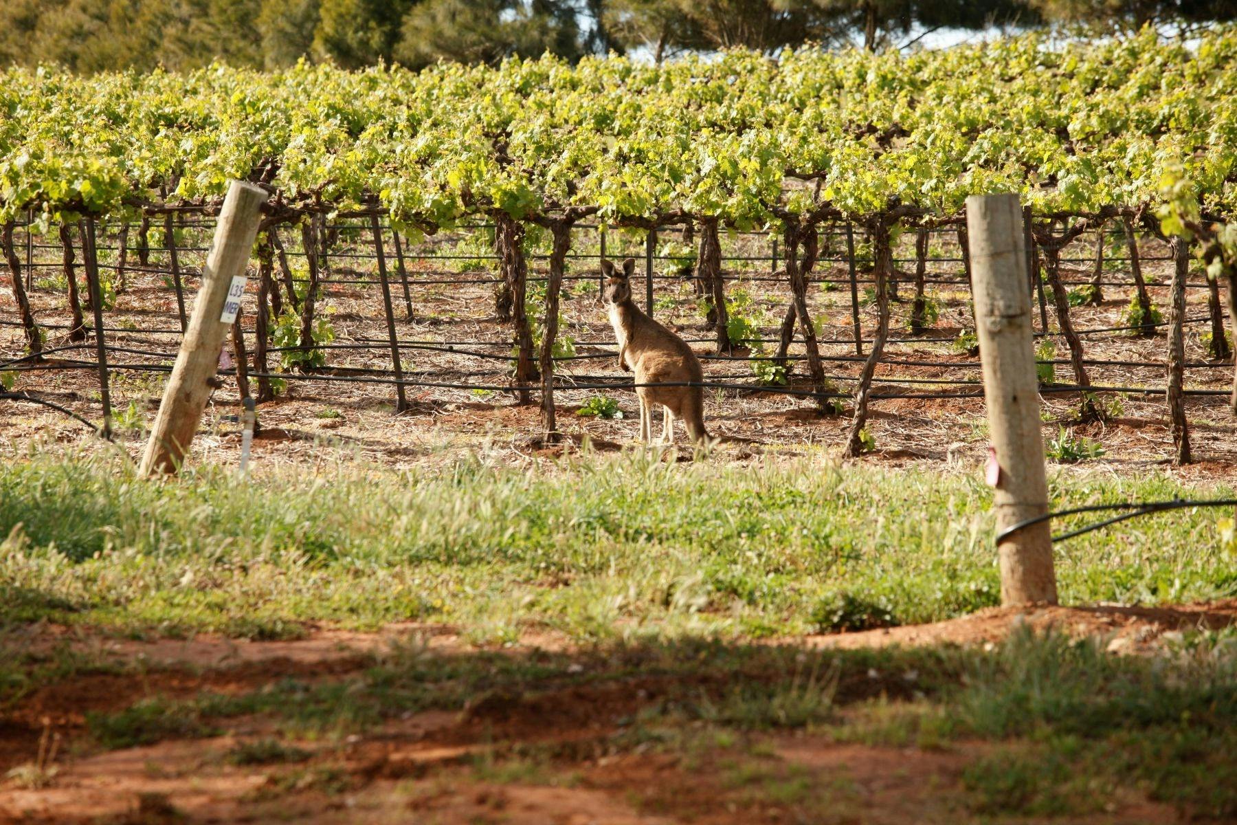 A Trail Of Taste & Time