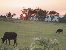 Farm scene in Porongurup Range
