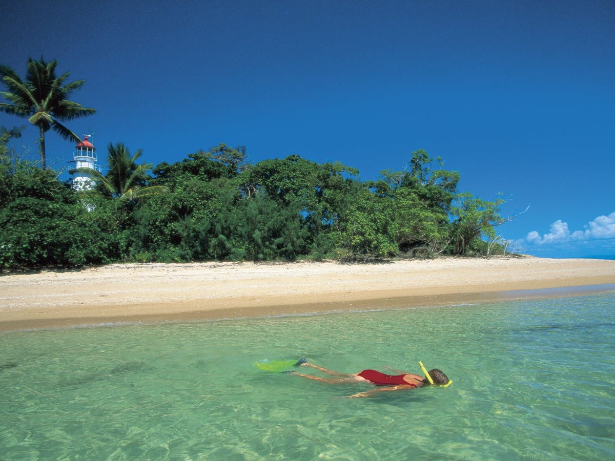 Snorkelling, Low Isles Snorkelling, Low Isles