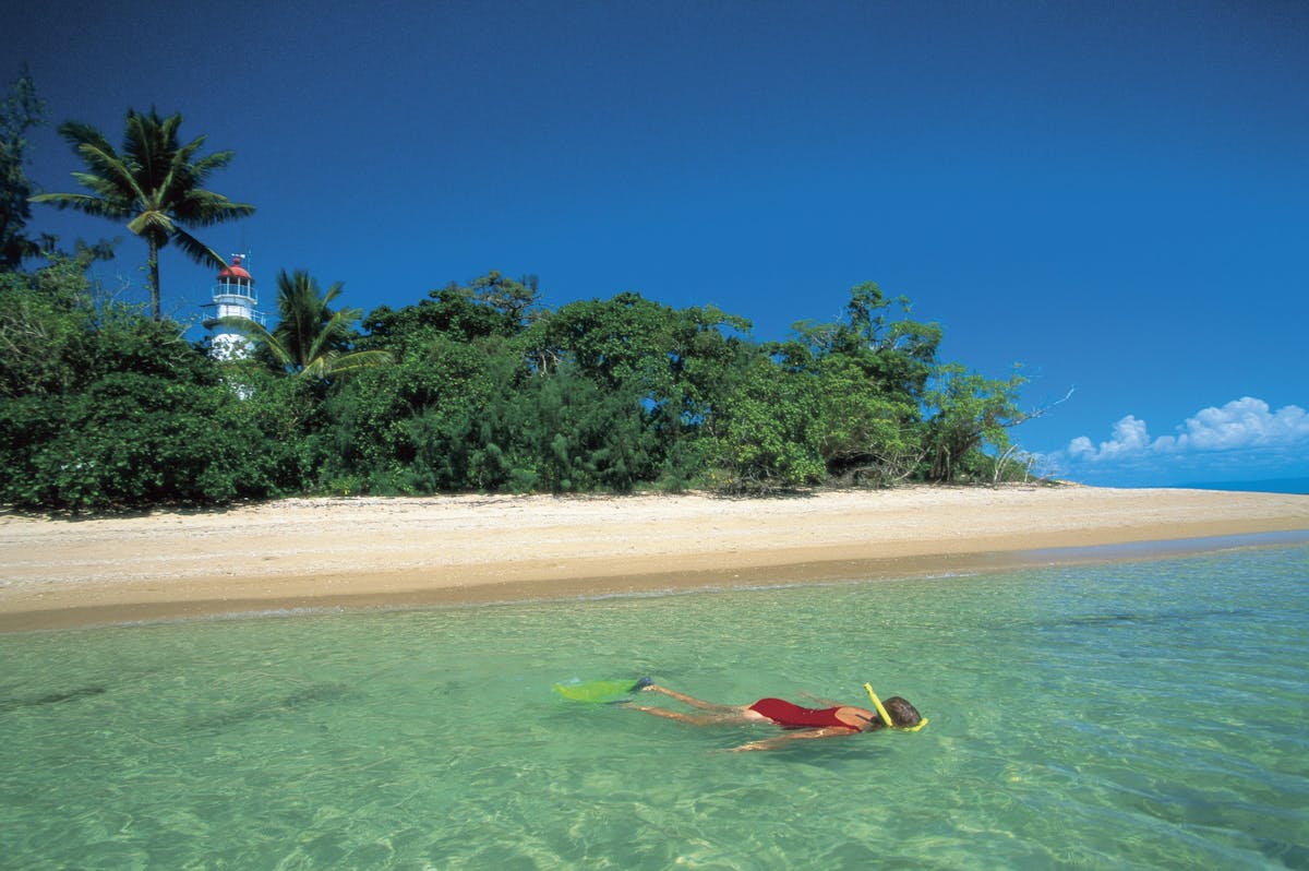 Snorkelling, Low Isles