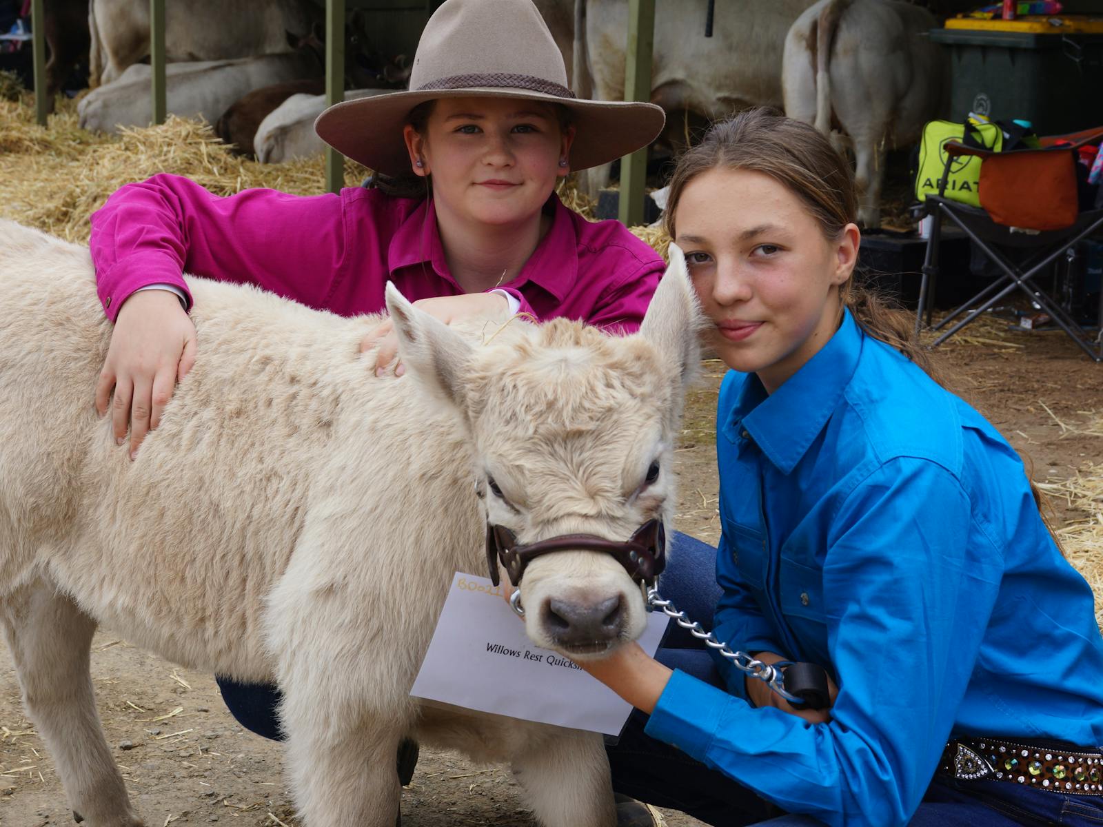 Image for Gawler Show