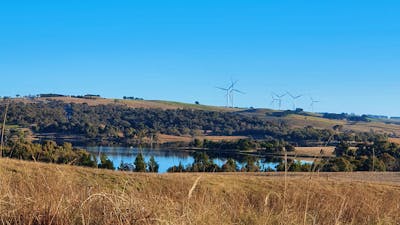 Views from Two Little Piggies