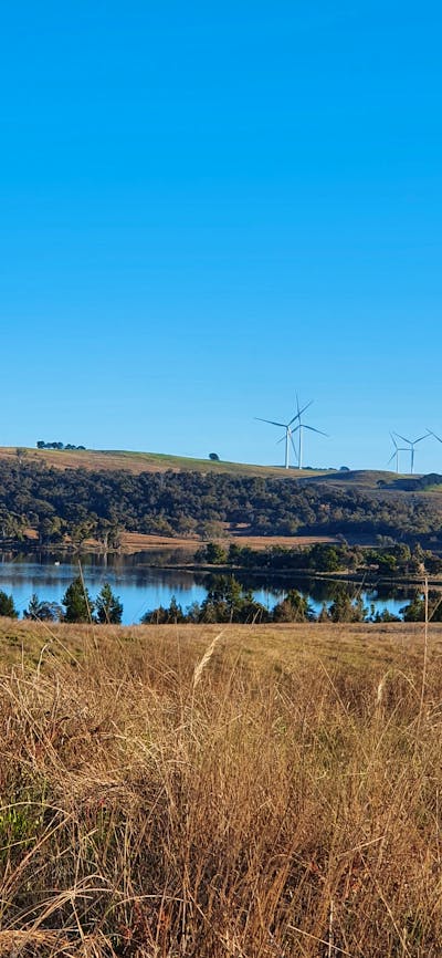 Views from Two Little Piggies