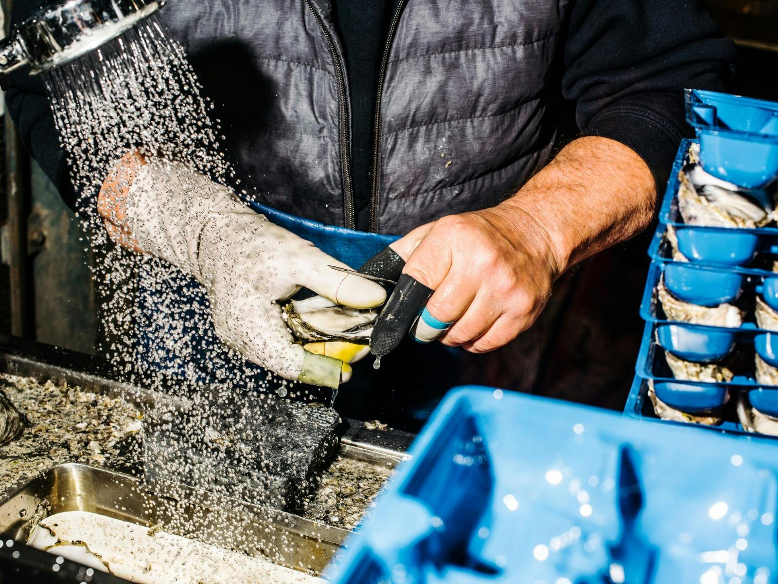 Sydney Fish Market