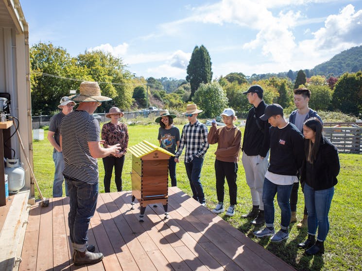 Bowral Bees and workshops in mead making and beekeeping.