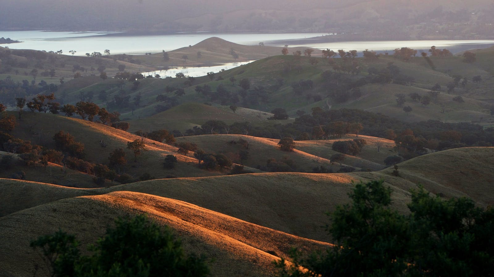 The Paps Lookout