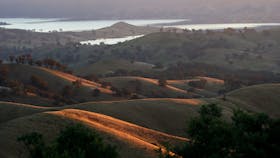 The Paps Lookout