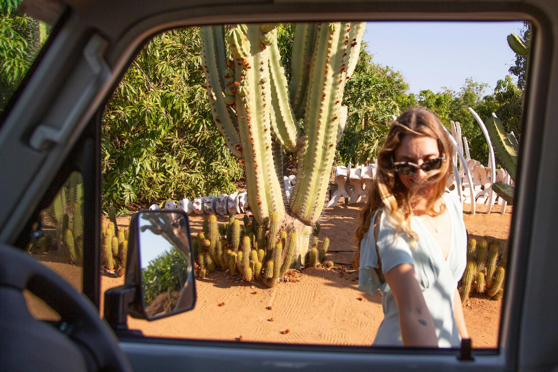 Cactus Garden Carnarvon
