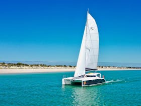 Luxury catamaran sailing past a beautiful white sandy beach in Coffin Bay South Australia