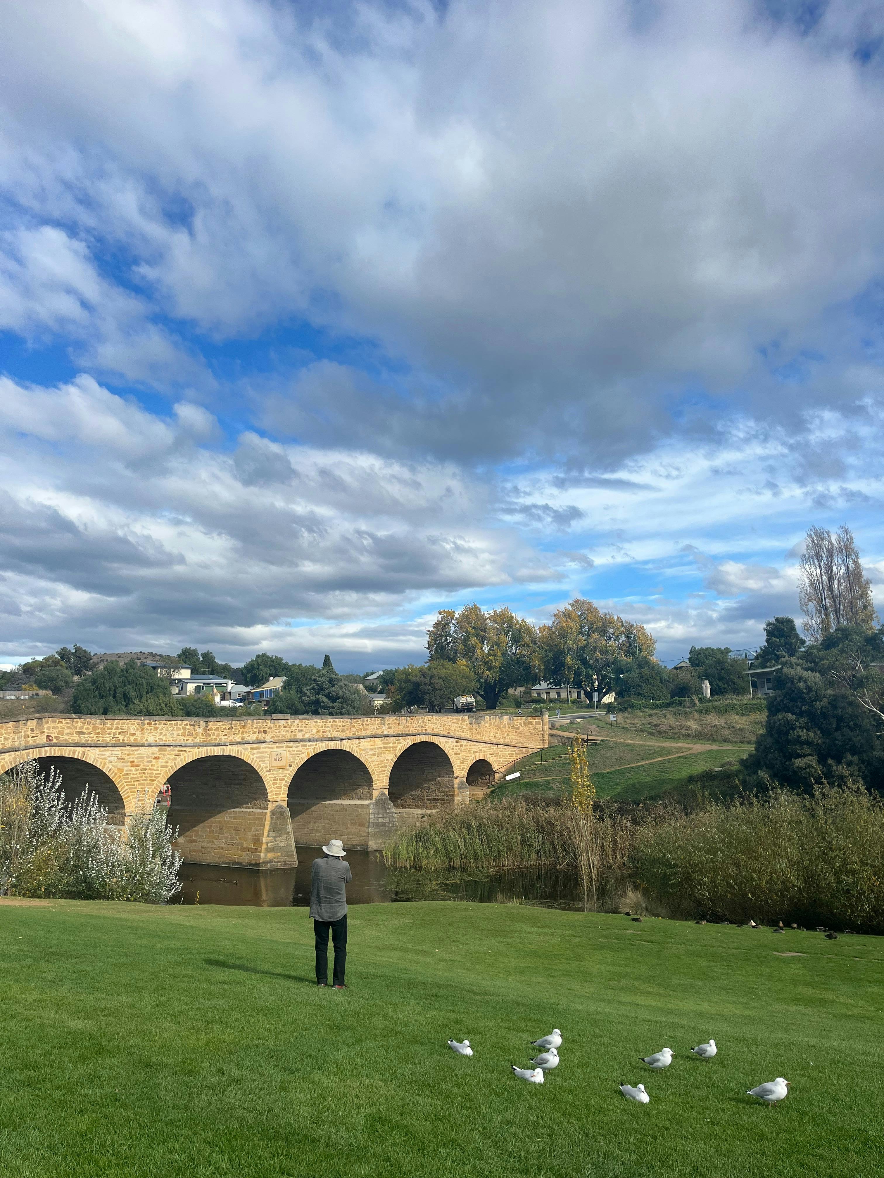 A photo of the Richmond Bridge, ducks on the grass by the river